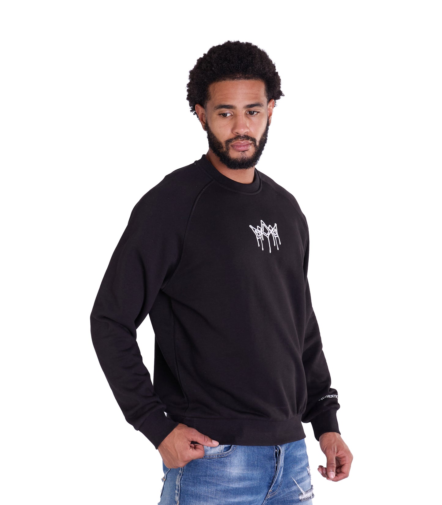 Herren Sweatshirt mit Bestickung Slim Fit, Modell DQ KB104, Beige, Grün, Braun und Schwarz